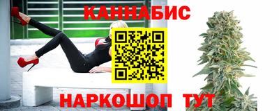 сатива Тверь