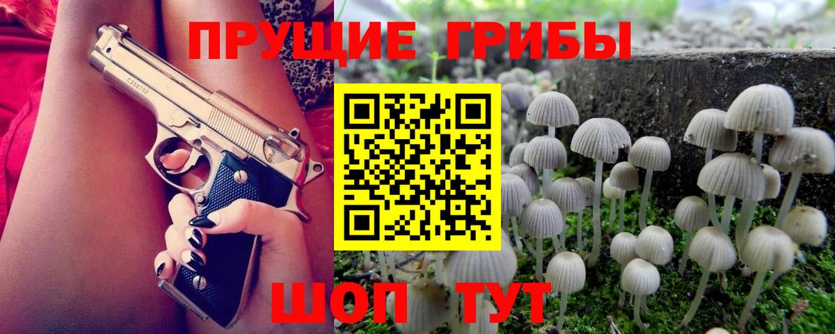 Псилоцибиновые грибы мицелий Борзя